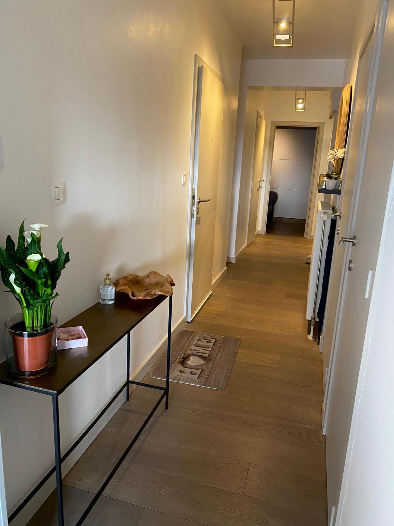 Sunny Home Knokke-Heist Bagian luar foto